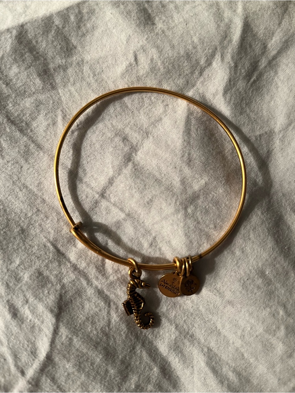 Alex and Ani Gold Seahorse Charm Expandable Bangle